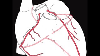 Coronary circulation of the heart [upl. by Nhepets]