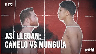 DESDE LAS VEGAS  ANÁLSIS CANELO vs MUNGUÍA [upl. by Eirrotal]