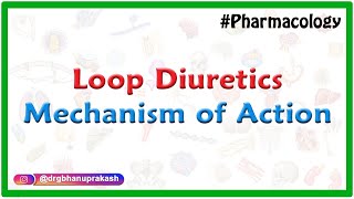 Loop diuretics Mechanism of action  Dr Mahesh [upl. by Fritze]