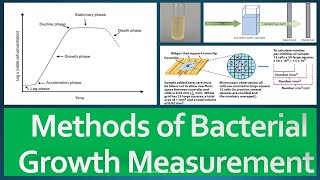 Growth Measurement Methods [upl. by Ttam696]