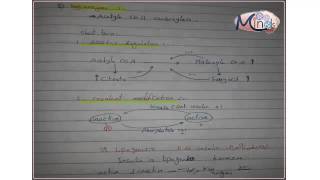 Investigating Enzymes in Liver [upl. by Erickson]