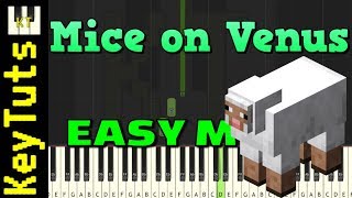 Mice on Venus from Minecraft  Easy Mode Piano Tutorial Synthesia [upl. by Assilym]