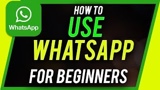 WhatsApp Features Overview [upl. by Bearnard]