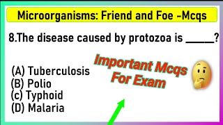 Class 8 Science  Chapter 2 Microorganisms  Friends amp Foe MCQ  class 8 science chapter 2 mcq [upl. by Airpal]