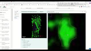 How to measure fluorescence in ImageJ [upl. by Dickinson]