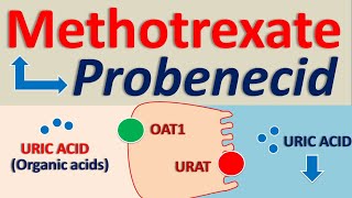 Side Effects of Methotrexate [upl. by Benita563]