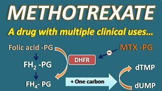 Getting Started on Methotrexate  What You Should Know [upl. by Nillad]