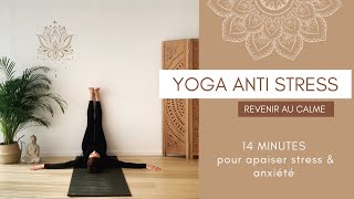 Yoga antistress  14 minutes  Apaiser stress et anxiété [upl. by Lovmilla]