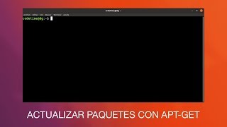 Cómo actualizar paquetes con aptget en Linux [upl. by Klemm291]