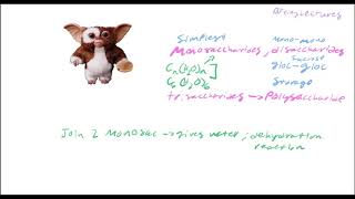 Biochemistry Lecture 19 Carbohydrates Part 1 [upl. by Erlond]