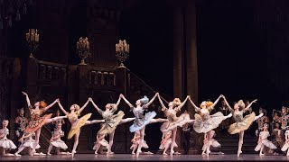 The Sleeping Beauty  The National Ballet of Canada [upl. by Amej]