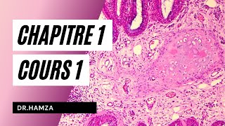 Histologie  Chapitre 1 Cours 1  Dr Hamza [upl. by Aserehtairam547]