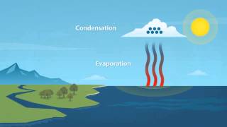 How does rain form and what is the water cycle [upl. by Tyler]