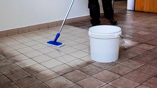 TILE CLEANER  How To Clean  Tips [upl. by Fanchie]