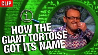 QI  How The Giant Tortoise Got Its Name [upl. by Sybille]