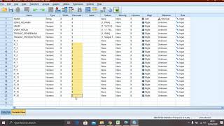 PENGOLAHAN DATA STATISTIK DENGAN SPSS VERSI 26 [upl. by Evot]