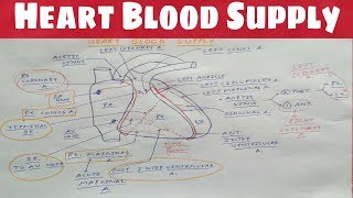 Heart Blood Supply 1  Right Coronary Artery  TCML  Dr Pawan nagar [upl. by Hilary555]