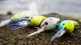 Deep Diving Crankbaits For Early Summer Bass [upl. by Lothair]