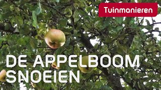 De appelboom snoeien hoe doe je dat  Tuinmanieren [upl. by Ahsiak]