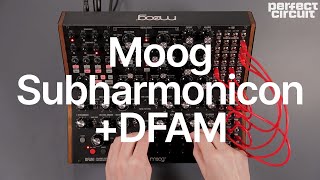 Moog DFAM  Subharmonicon Jam [upl. by Latisha]